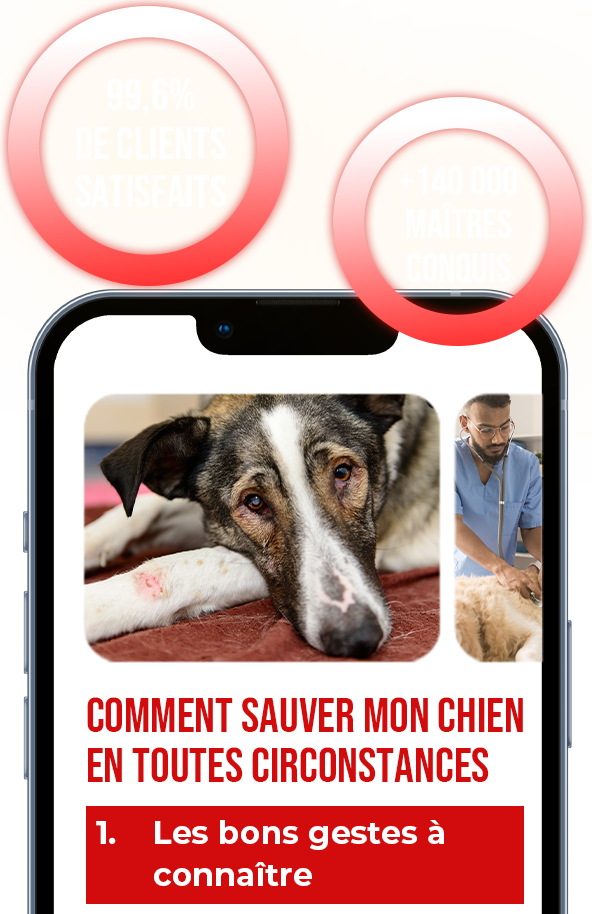 Tous les gestes à connaître en cas d’accident