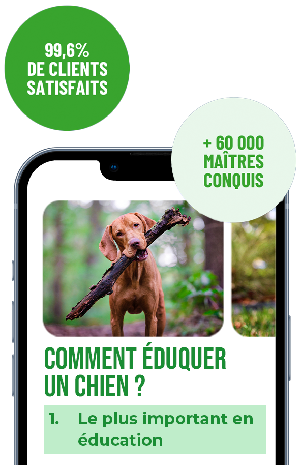 La méthode d’éducation canine vue par Esprit Dog