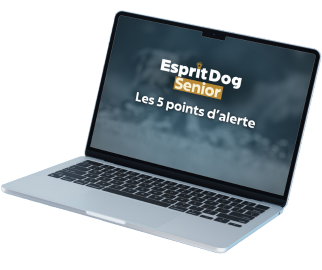 <p>Acc&egrave;s imm&eacute;diat et &agrave; vie &agrave; plus de 7h de formation avec tous les conseils et exercices pour les chiens s&eacute;niors !</p>