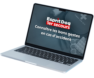 <p>Apprenez &agrave; sauver votre chien et &agrave; r&eacute;agir face &agrave; tout &eacute;v&eacute;nement urgent gr&acirc;ce &agrave; des conseils pour rep&eacute;rer les situations graves.</p>