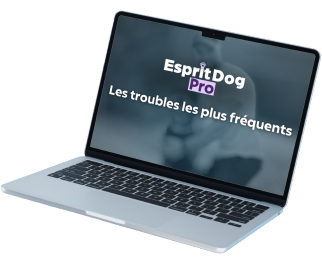 <p>Accessible &agrave; tous, la formation Esprit Dog Pro vous permettra d'acqu&eacute;rir toutes les connaissances th&eacute;oriques n&eacute;cessaires pour &ecirc;tre un bon &eacute;ducateur canin hors du commun et de faire un pas vers une nouvelle orientation professionnelle.</p>