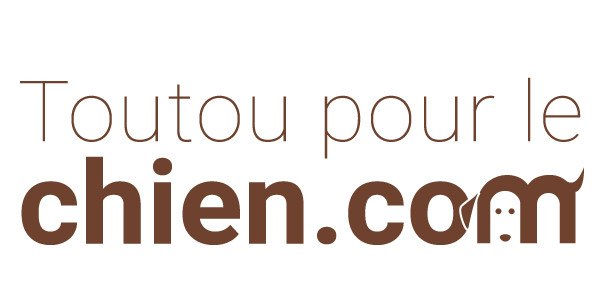 Chien agressif : que faire ?