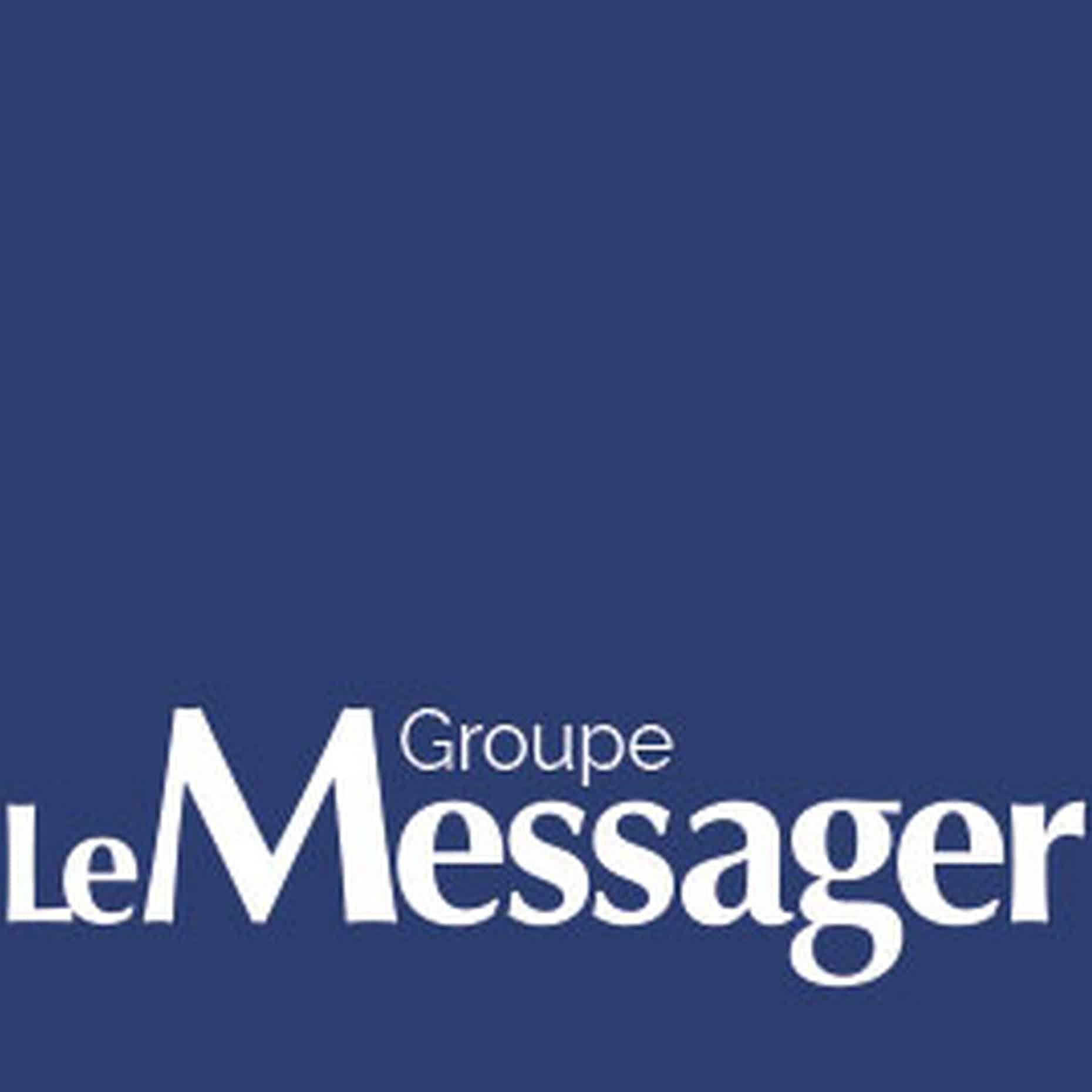 Éduquer son chiot à la maison : les programmes en ligne qui font la différence