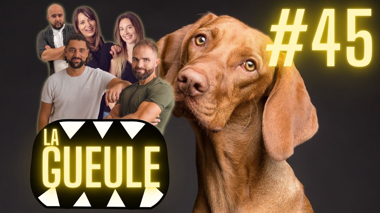 La GUEULE #45 – Annonce de partenariat avec une nouvelle marque de croquettes !