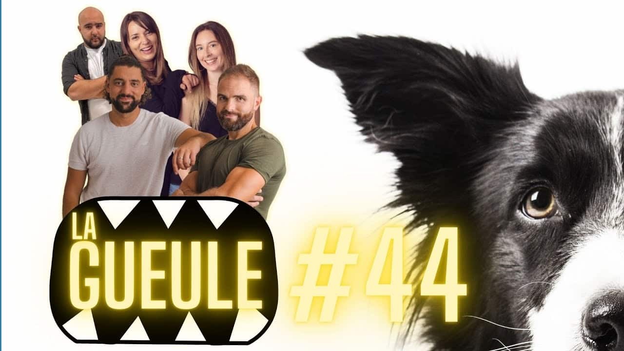 La GUEULE #44 – De l’actu, du chien, et de la bonne humeur !