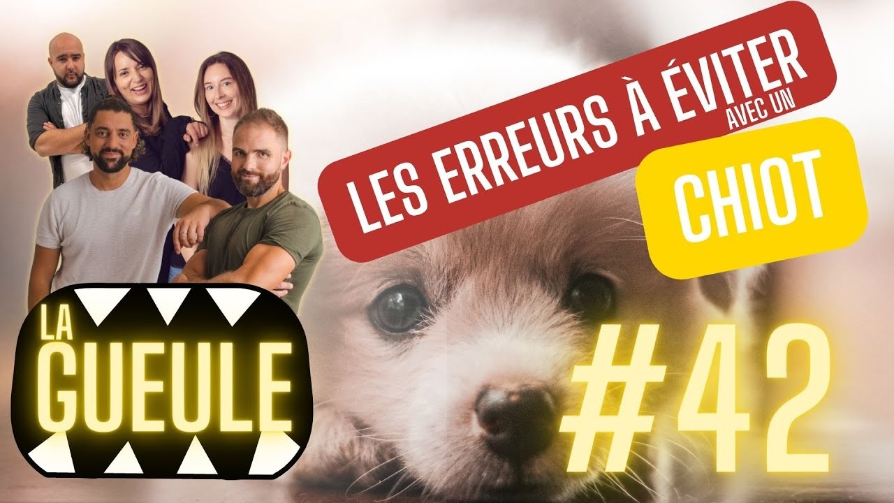 La GUEULE #42 – Les erreurs à éviter avec un chiot !