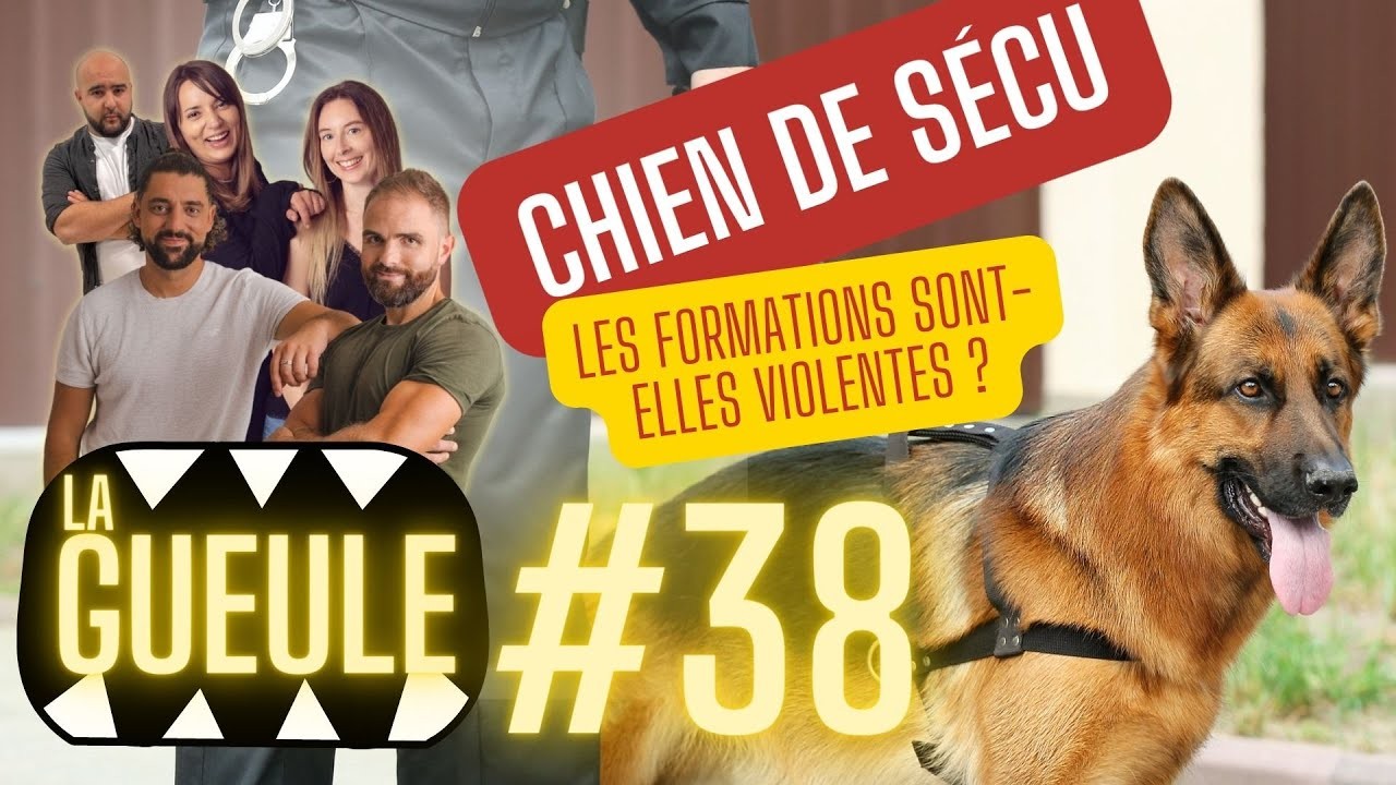 La GUEULE #38 – Chiens de Sécu : Les formations sont-elles violentes ?