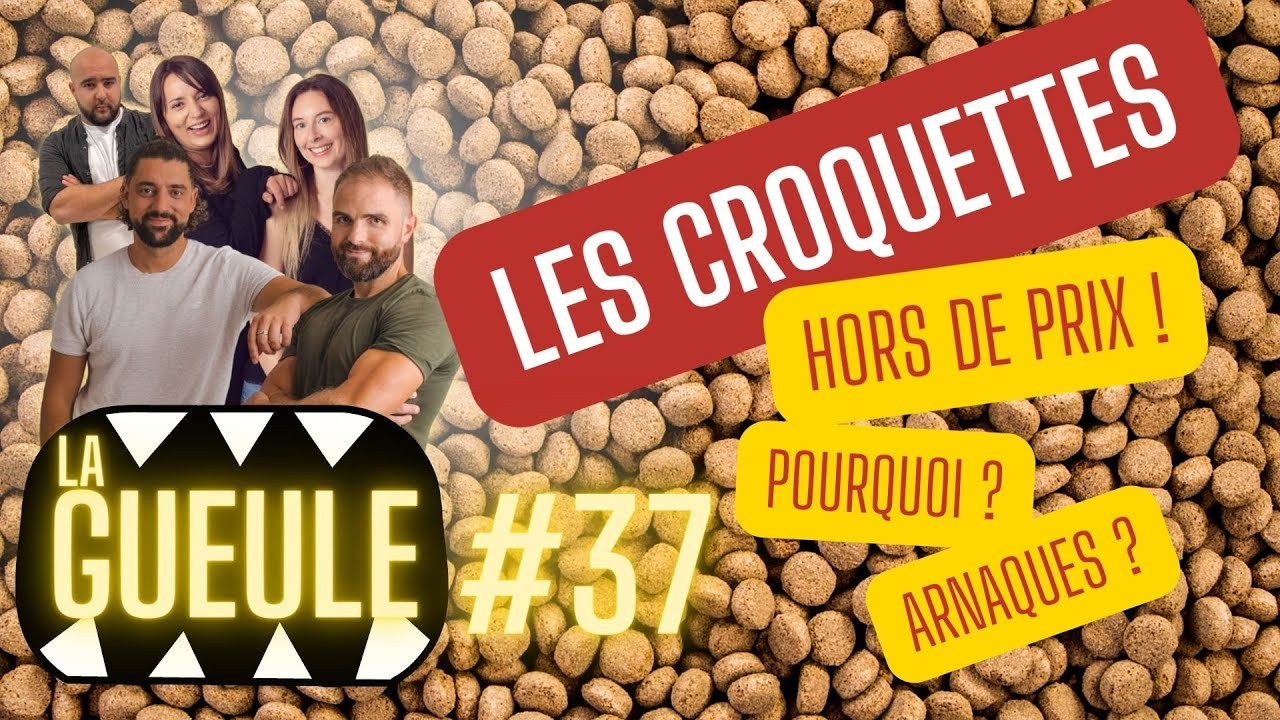 La GUEULE #37 – CROQUETTES hors de prix ! Pourquoi ? Arnaque ? Astuces ?