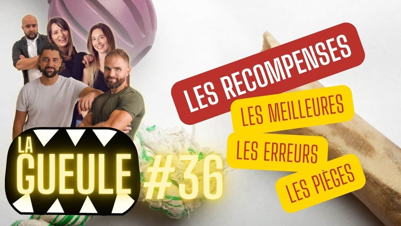 La GUEULE #36 – Les récompenses, les meilleures, les pièges !