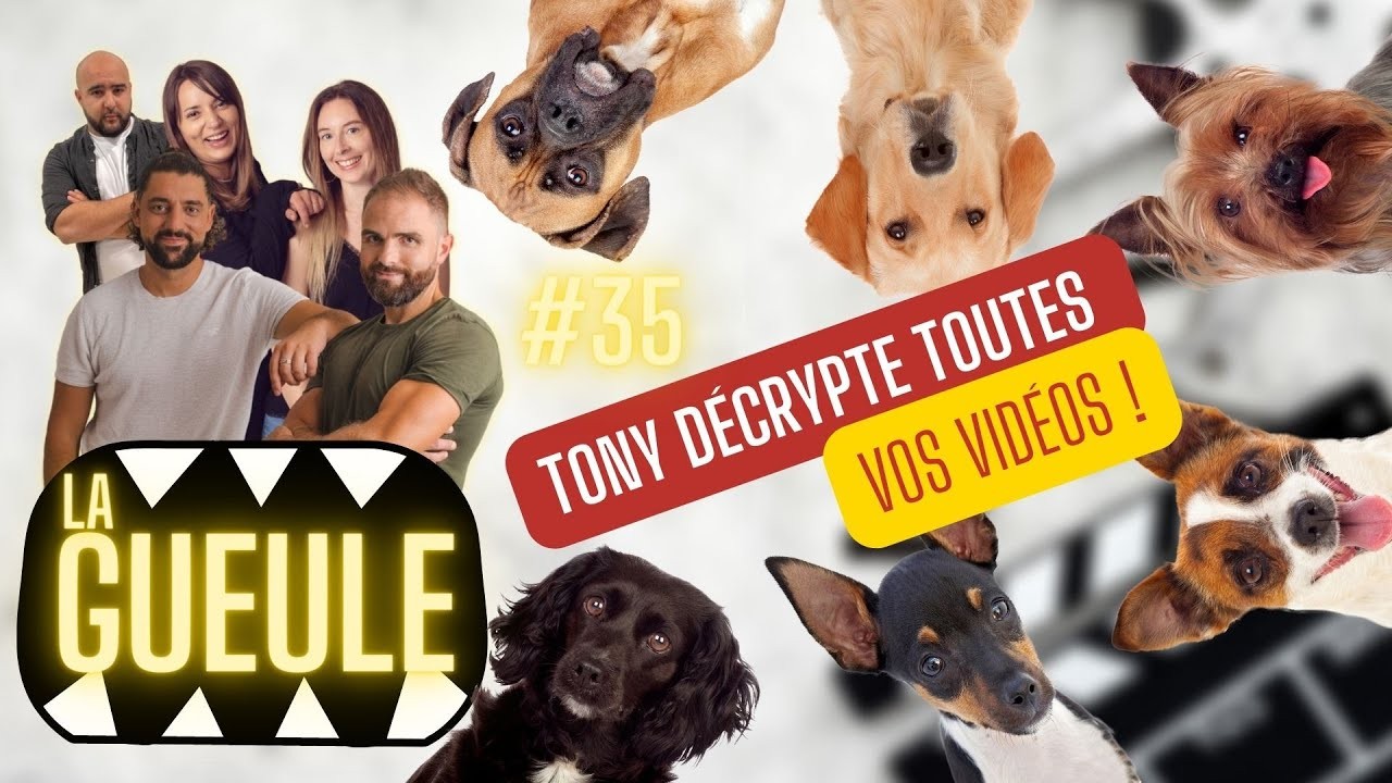 La GUEULE #35 – On décrypte vos vidéos !