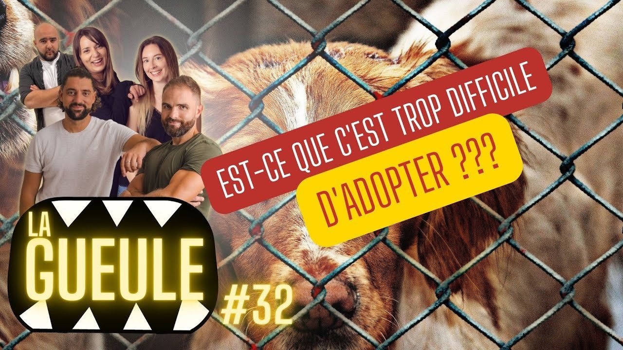 La GUEULE #32 – Trop dur d’adopter en refuge ?