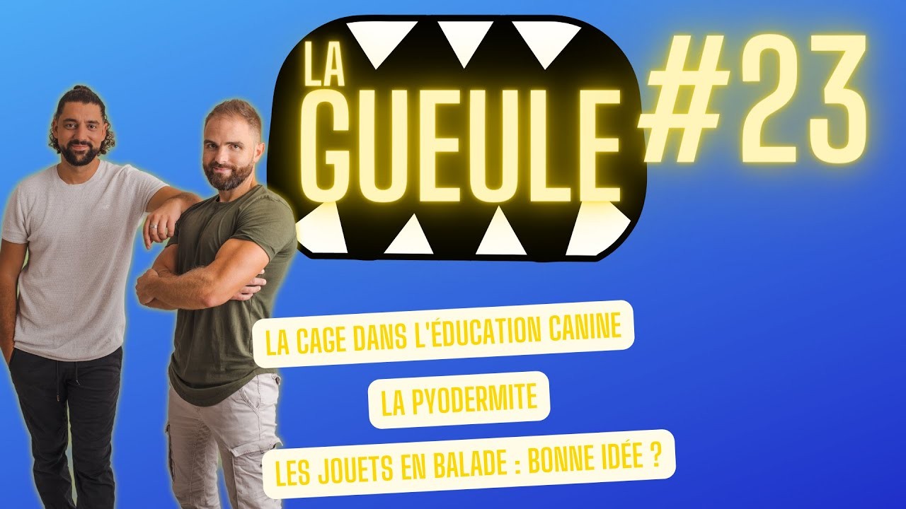 La Gueule ! #23 – La cage dans l’éducation canine – La Pyodermite
