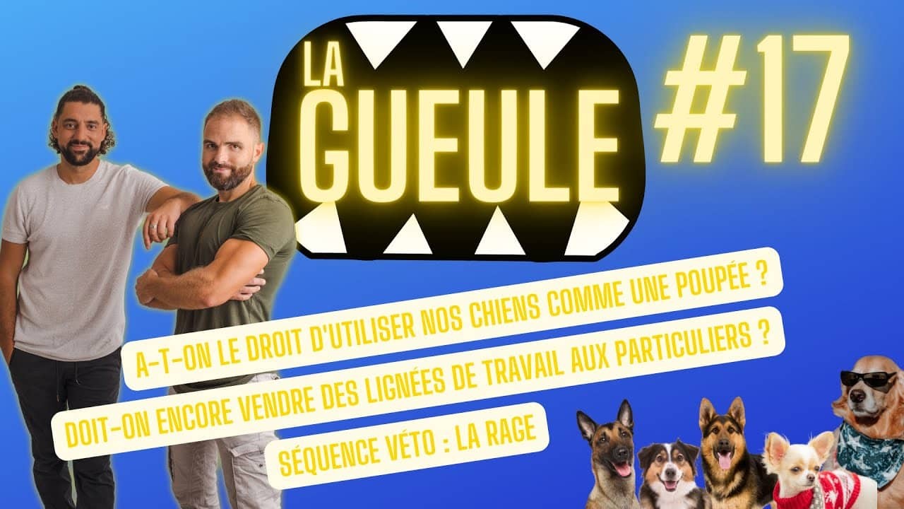 La Gueule ! #17 – Les lignées de travail – Habiller son chien – La rage