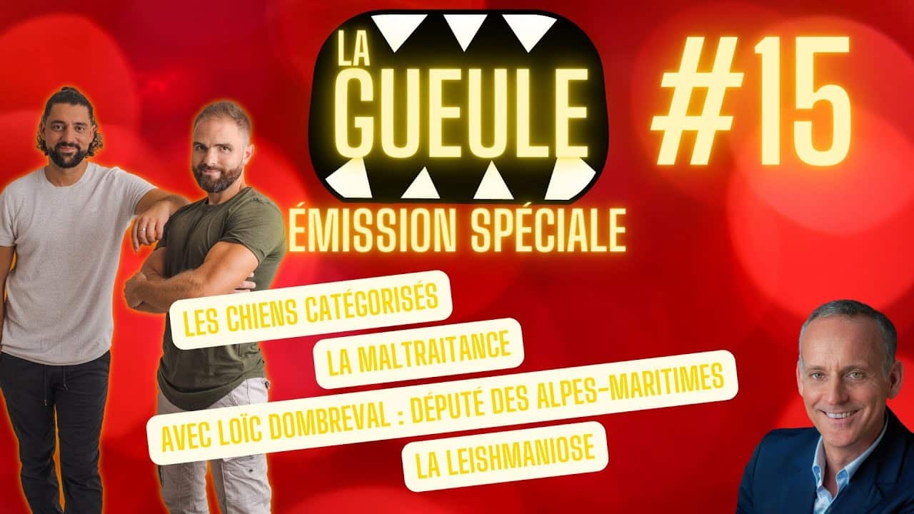La Gueule ! #15 – La maltraitance, les chiens catégorisés, avec Loïc Dombreval – La leishmaniose