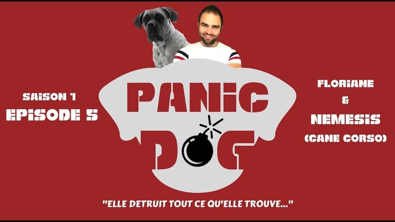 PANIC DOG – Saison 1 – Episode 5 – Cane corso destructeur