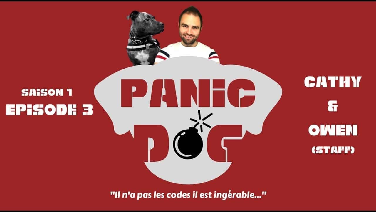 PANIC DOG – Saison 1 – Episode 3 – Un Amstaff ingérable