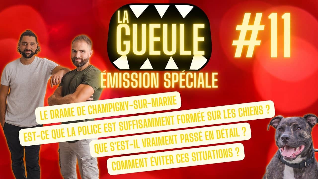 La Gueule ! #11 Émission Spéciale – Chien Staff abattu – Formation de la police