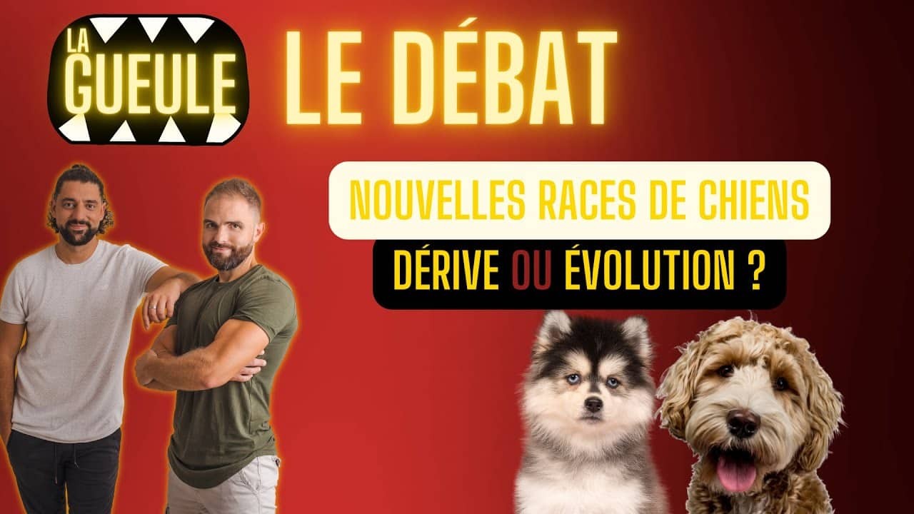 Nouvelles races de chiens : dérive ou évolution ?