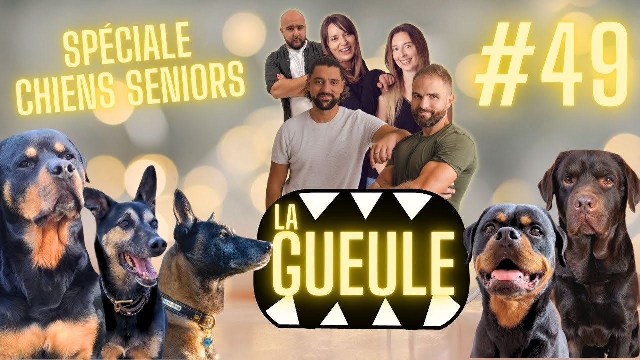 La GUEULE #49 – Formation Chien Senior, éducation et balade