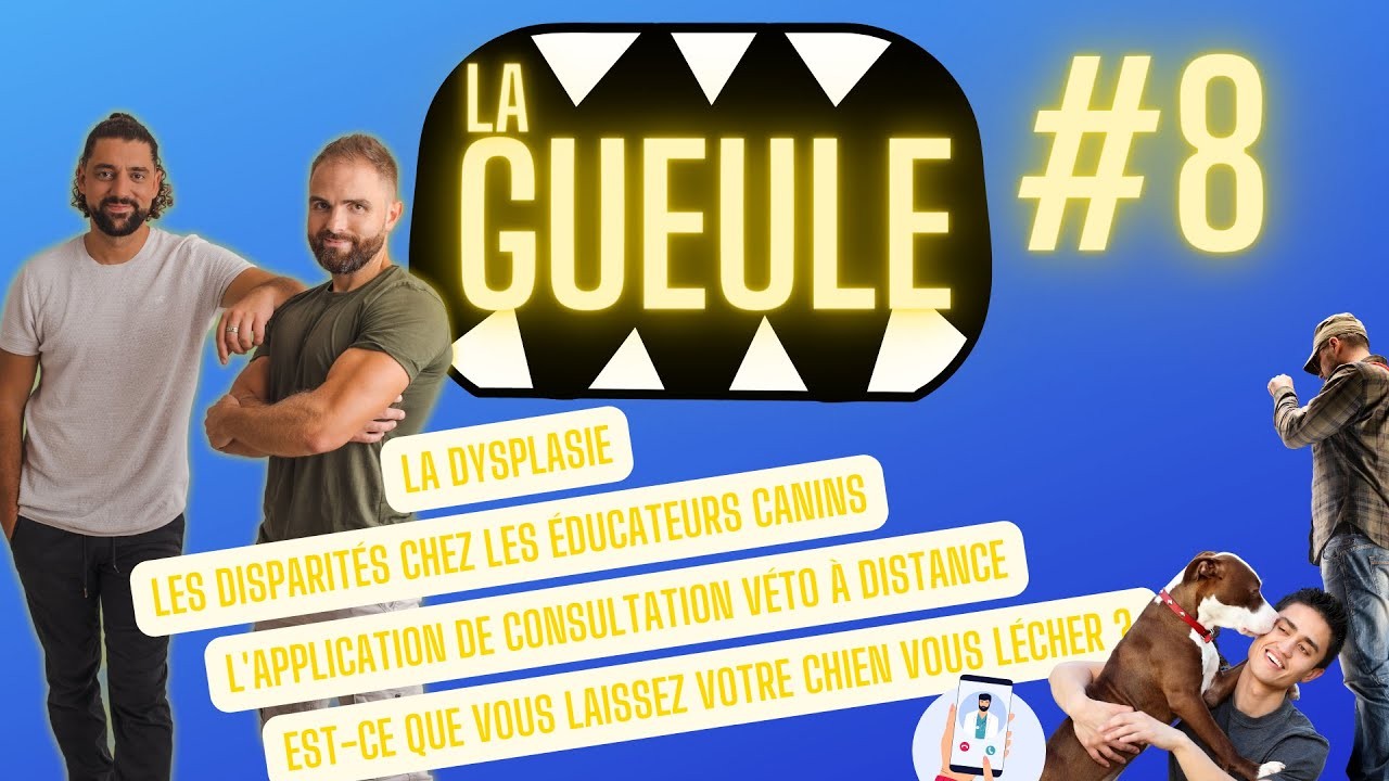 La Gueule ! #8 Les disparités chez les éducateurs canins – La dysplasie chez le chien