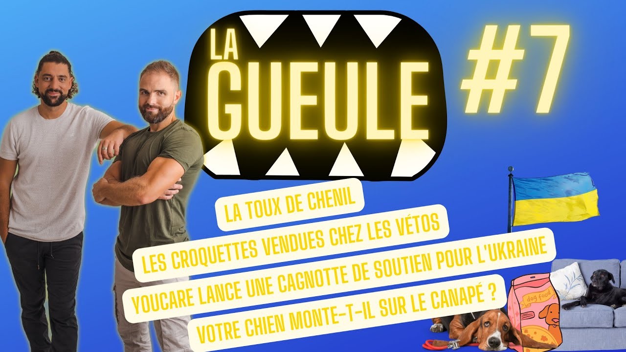 La Gueule ! #7 Les croquettes pour chiens vendues chez les vétérinaires – La toux de chenil
