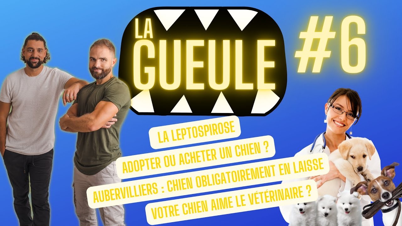La Gueule ! #6 Adopter ou acheter un chien ? – La leptospirose