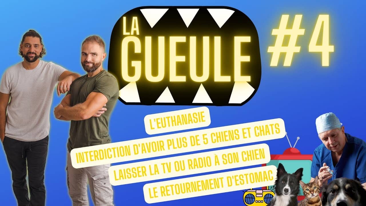 La Gueule ! #4 Euthanasie – Le retournement d’estomac