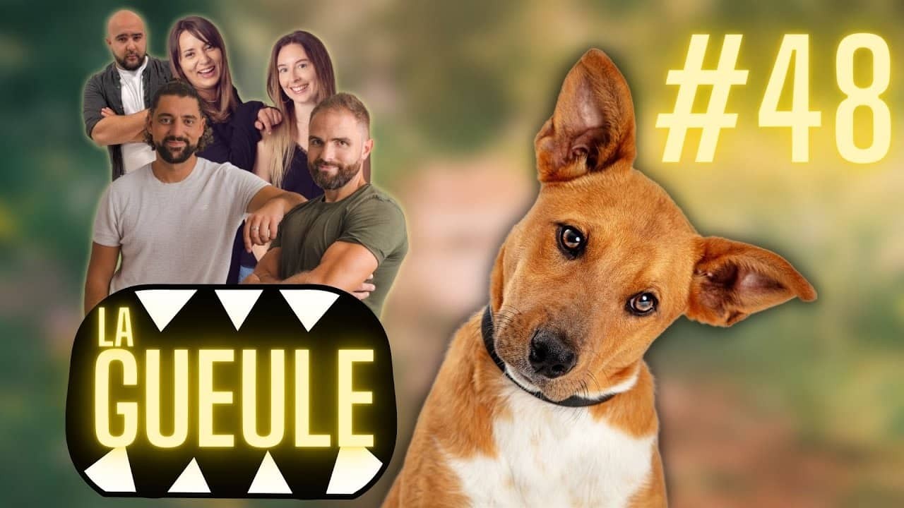 La GUEULE #48 – Actu, Décryptages, Bons plans, Bonne humeur et Chien !