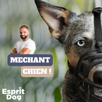 Ce Rott a été broyé, massacré… Torturé…