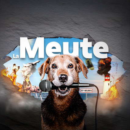 C’est que du fluide !