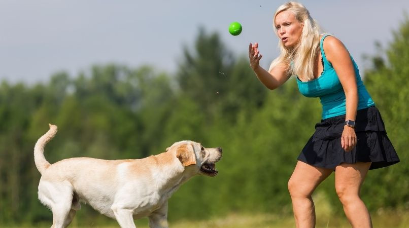 Joie et bonne humeur pendant les cours d’obéissance !