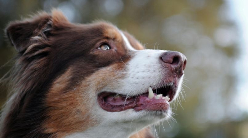 Exercice facile et rapide pour travailler le focus