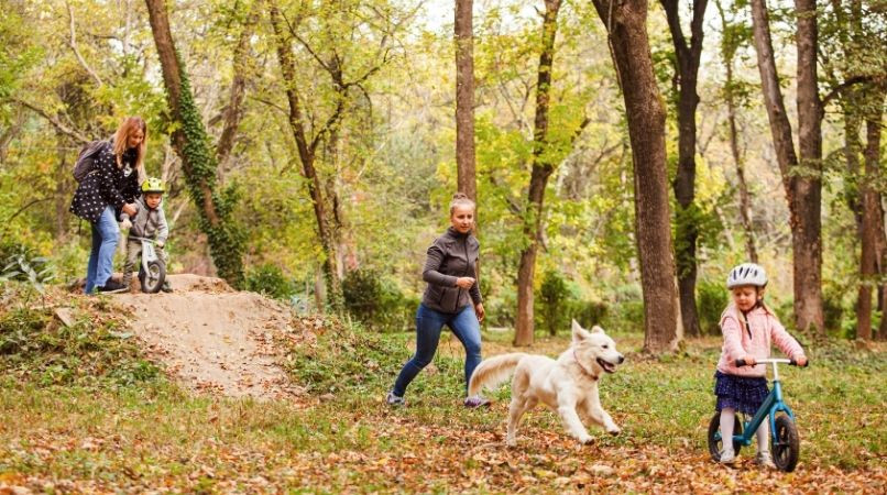 Le suivi naturel ou comment développer une superbe connexion avec son chien !