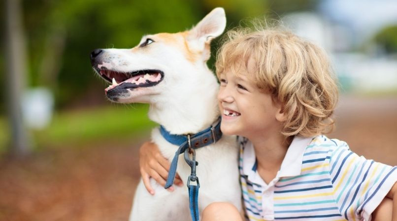 Un grand site liste les 10 races de chiens qui ne s’entendent pas avec les enfants ; nous, on s’en amuse !
