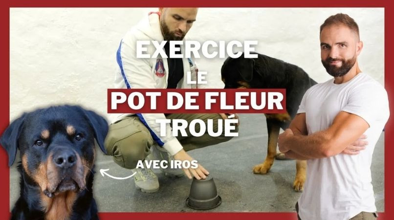 Exercice sur le focus avec un pot de fleur troué
