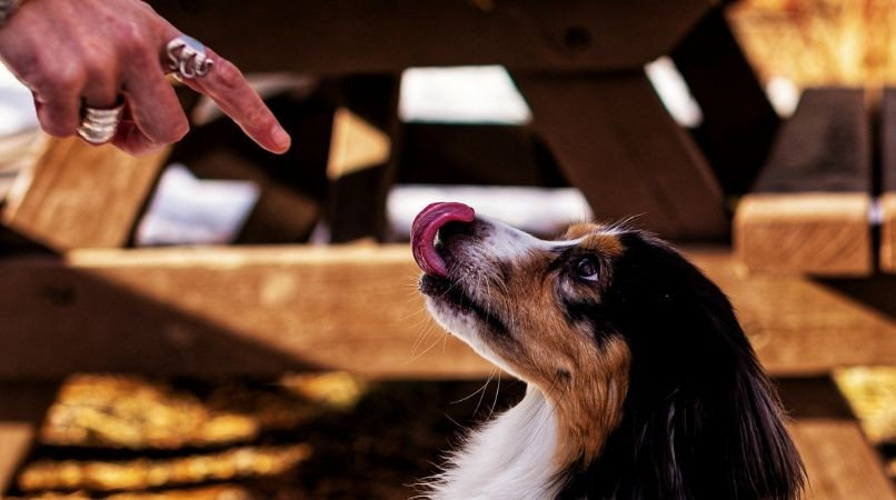 Renforcer le « non » avec un bruit : bonne ou mauvaise idée ?