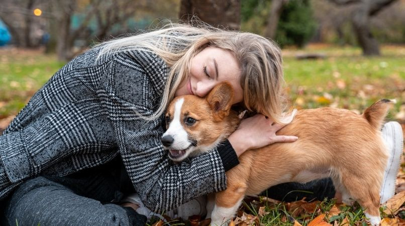 Quand on prend un chien : attention aux fausses idées !