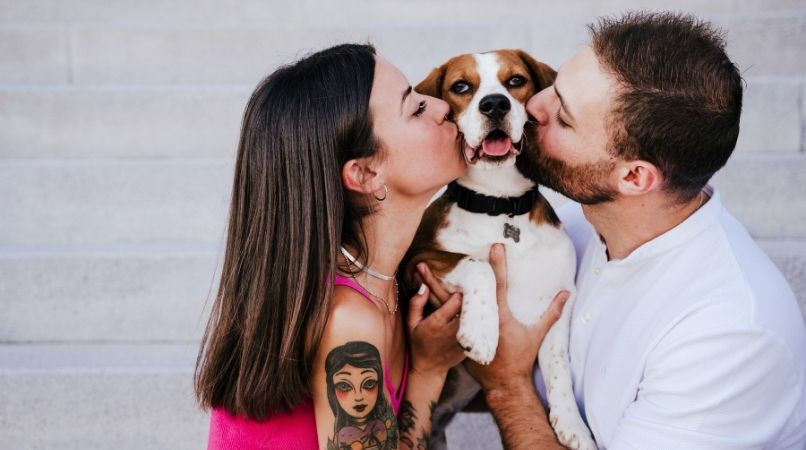 Éduquer un chien en couple : les 3 erreurs à éviter