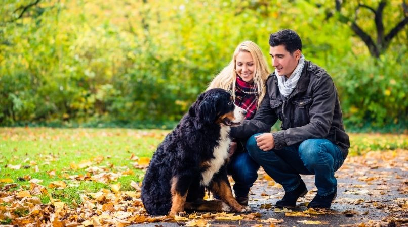 Les erreurs à éviter quand on fait un exercice à deux avec son chien