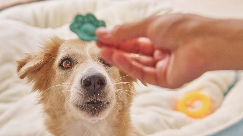 Les erreurs commises avec le « pas toucher » que vous pouvez éviter