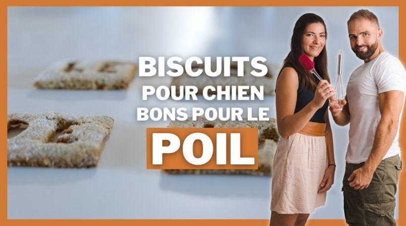 Recette de biscuits pour chien : des biscuits bons pour le poil !