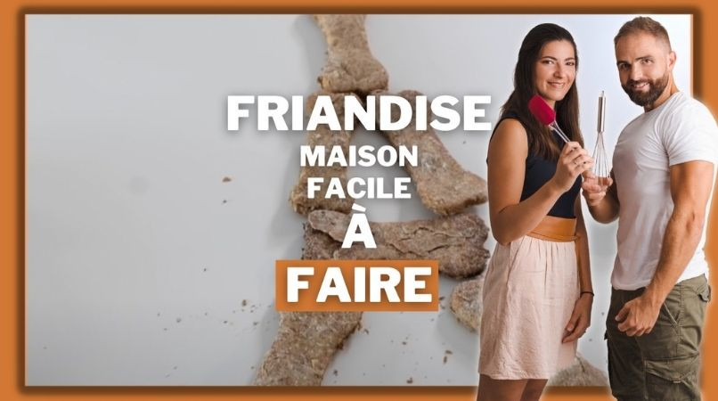 Friandise maison pour chien facile à faire !