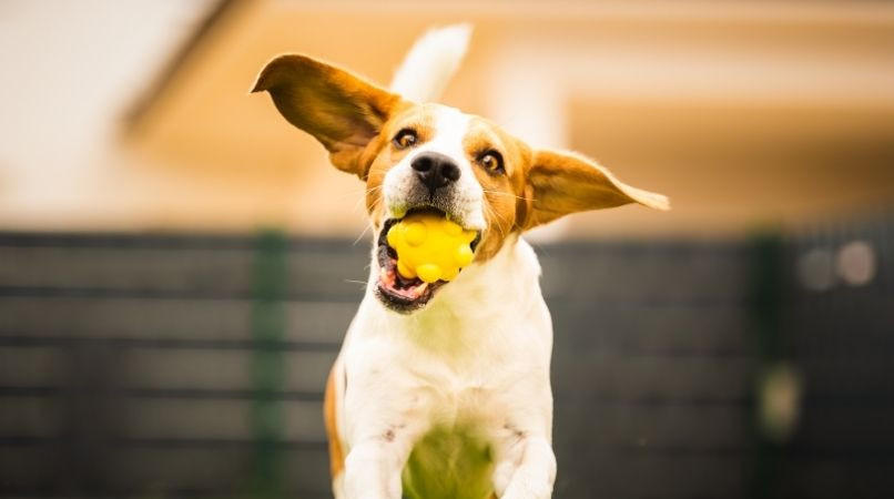 Petit exercice facile pour gérer la frustration
