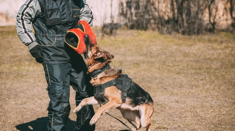 Le mordant va être interdit à cause de vous !