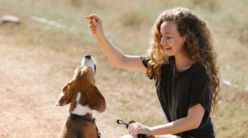 La vraie utilité des tricks avec votre chien