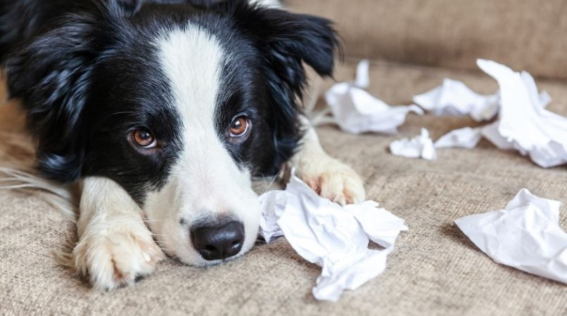 Choisissez vos batailles !