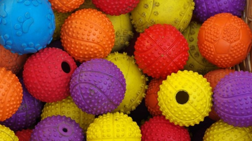 Le tapis de jouets : Exercice pour la relation chien/maître