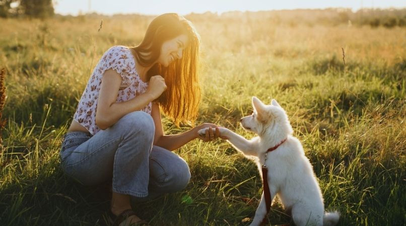 Comment éduquer un chiot ?