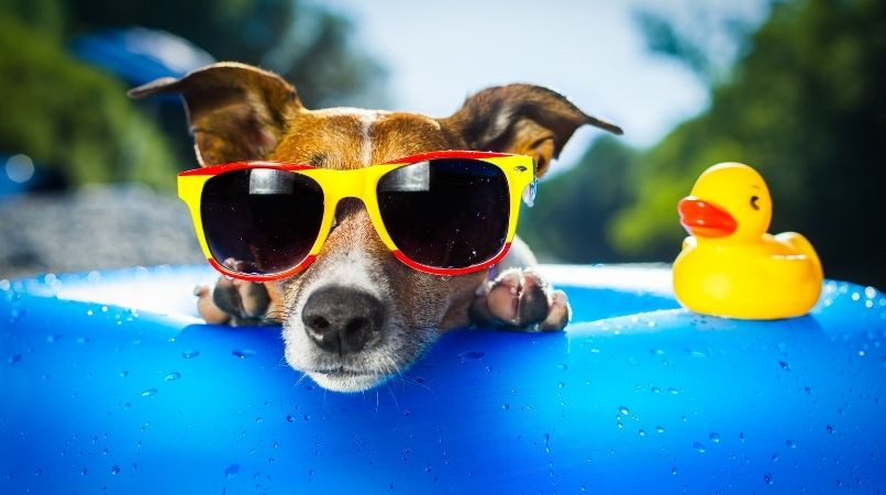 Le conseil face à la chaleur !