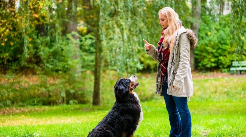 Les 7 ordres les plus importants